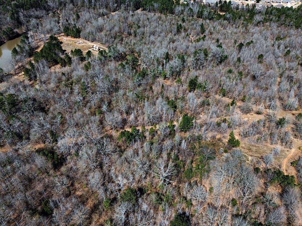 1 East George Richey Road Longview, TX 75604 - Photo 18 of 25 a view of a tree in a field