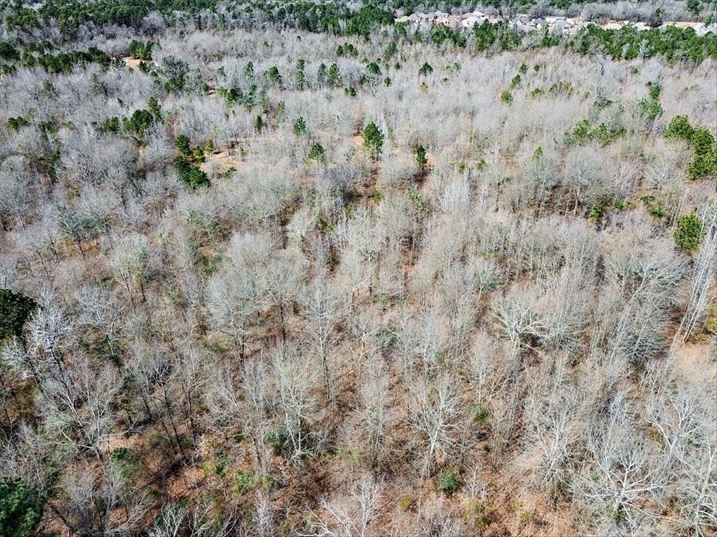 1 East George Richey Road Longview, TX 75604 - Photo 21 of 25 a view of a dry yard