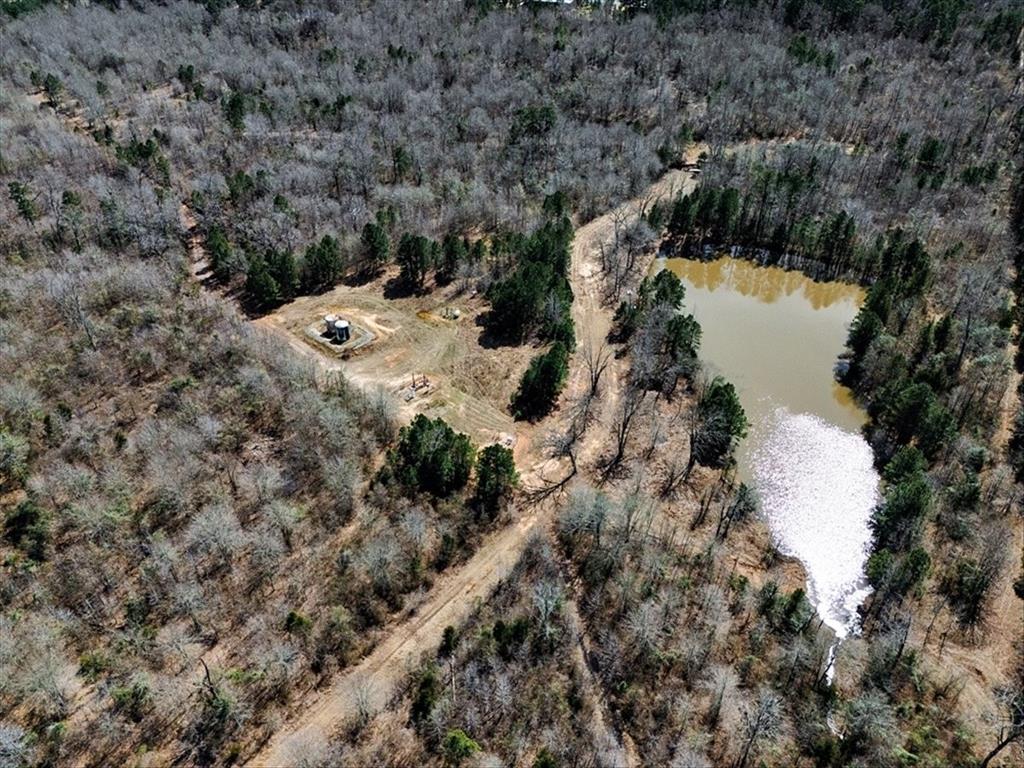 1 East George Richey Road Longview, TX 75604 - Photo 4 of 25 a view of a forest with a yard