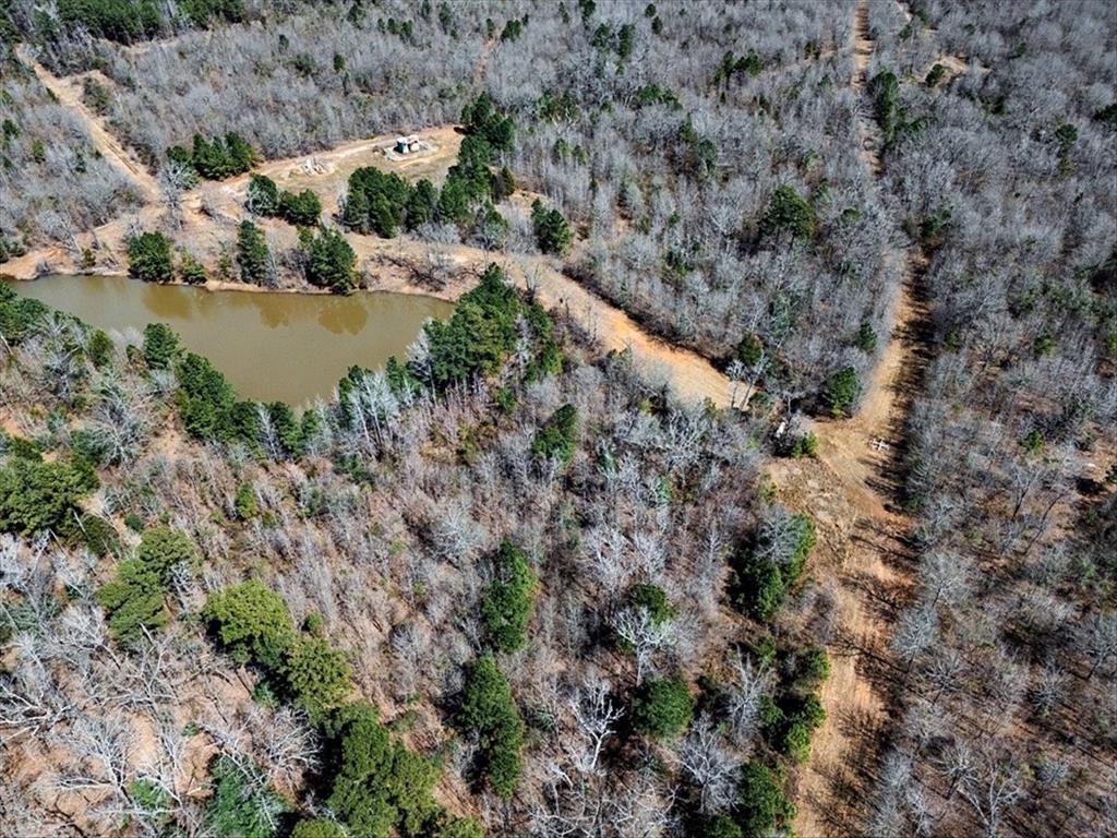 1 East George Richey Road Longview, TX 75604 - Photo 5 of 25 a view of a lake with lots of trees