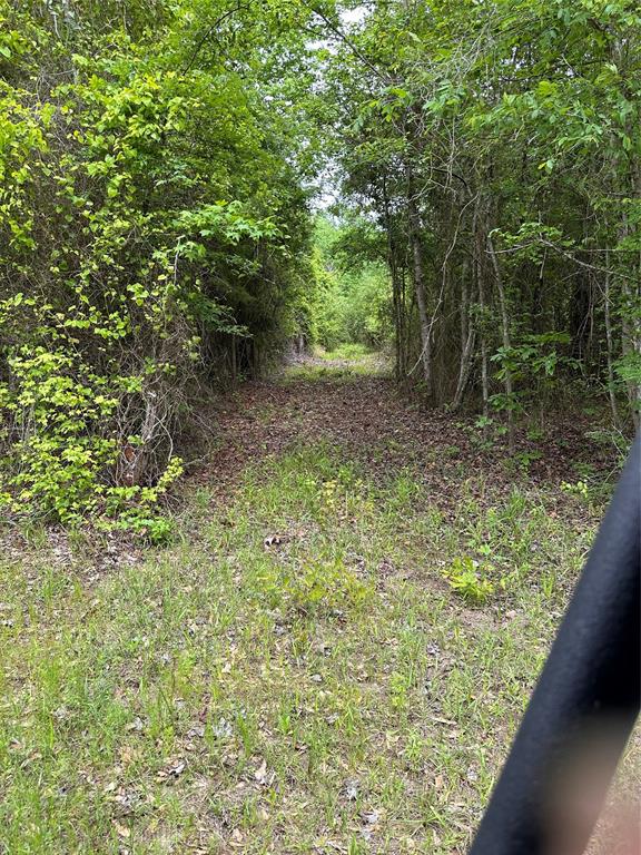 1 East George Richey Road Longview, TX 75604 - Photo 10 of 25 a backyard of a house with lots of green space