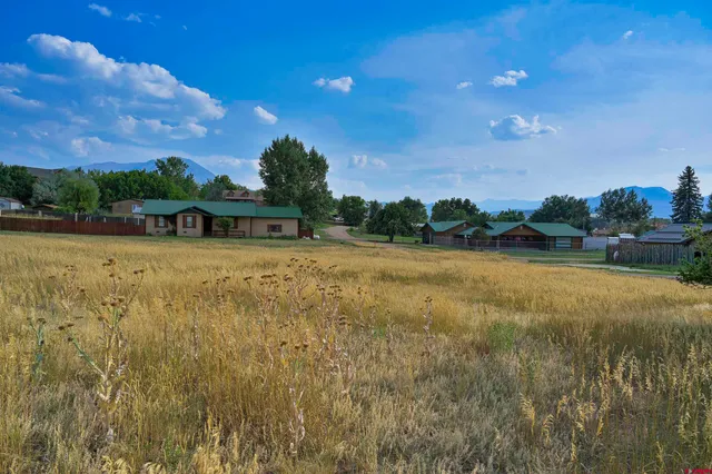 a swimming pool with trees in the background