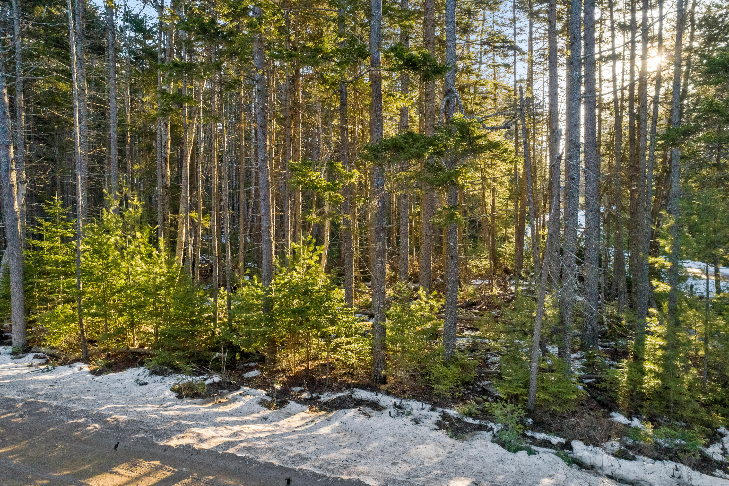 Lot#00 Doughty Point Road Harpswell, ME 04079 - Photo 18 of 21 (19)_00 Doughty Point Rd. (MAPS)