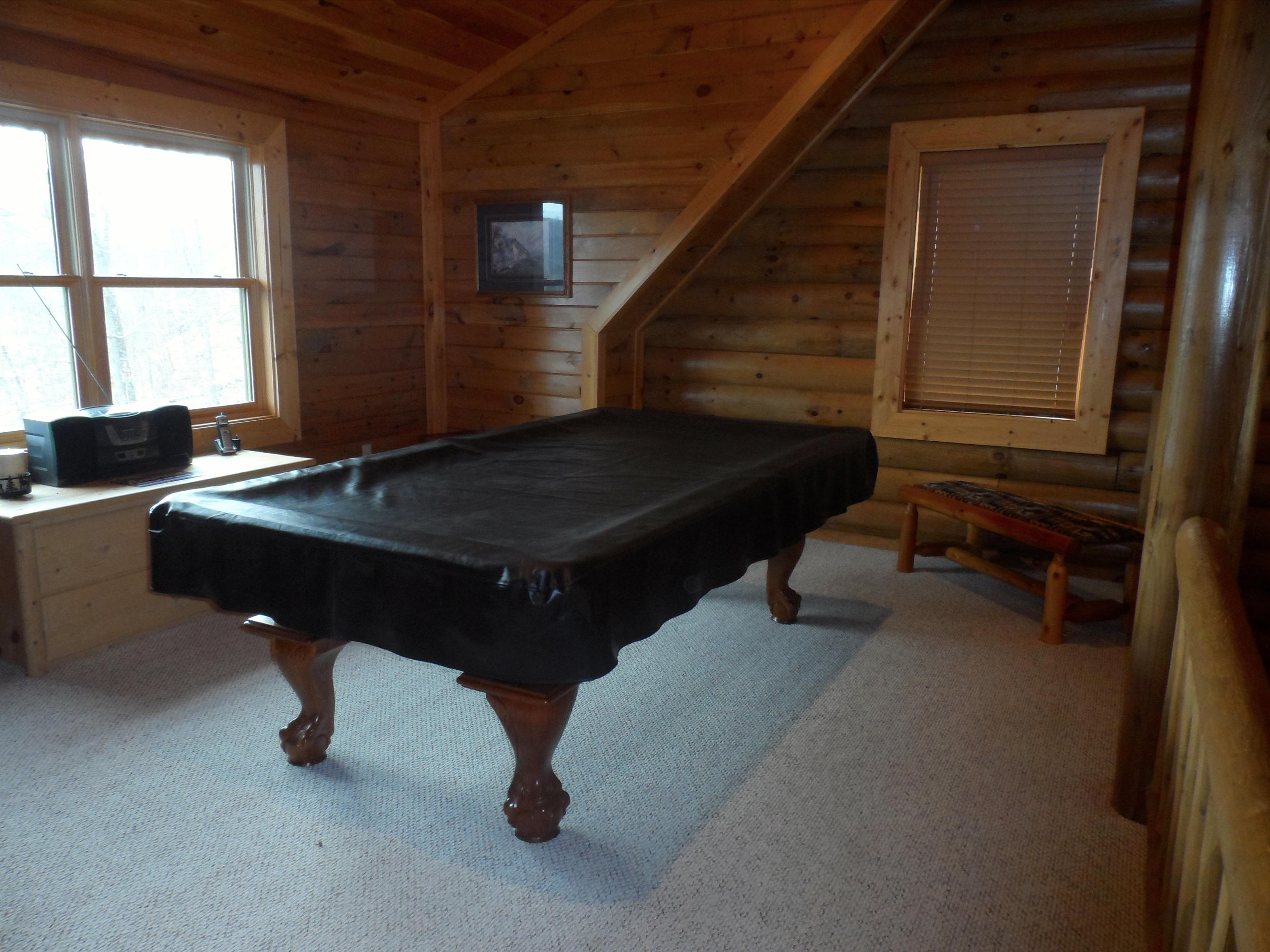 374 Bluff View Road New Tazewell, TN 37825 - Photo 14 of 22 SAM_2333