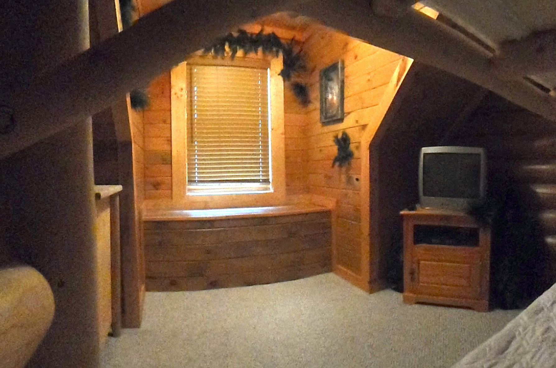 374 Bluff View Road New Tazewell, TN 37825 - Photo 18 of 22 SAM_2341