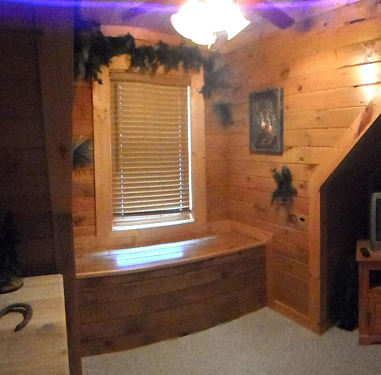 374 Bluff View Road New Tazewell, TN 37825 - Photo 19 of 22 SAM_2342