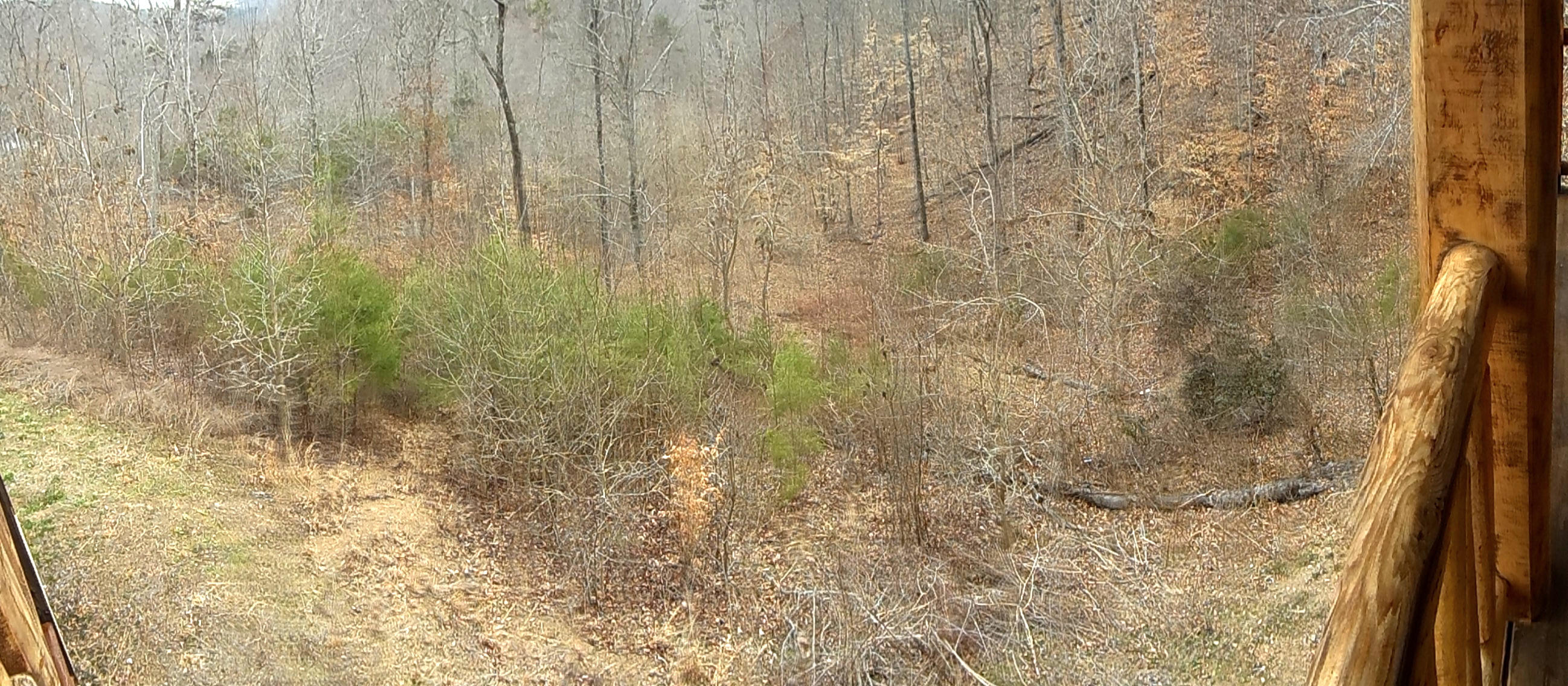 374 Bluff View Road New Tazewell, TN 37825 - Photo 22 of 22 SAM_2354