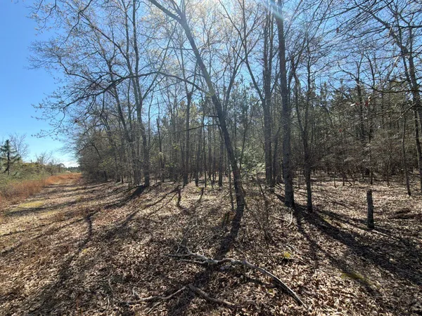 $69,900 | 12 Boise Cascade, Unit BHL 12, Bethune, SC 29009