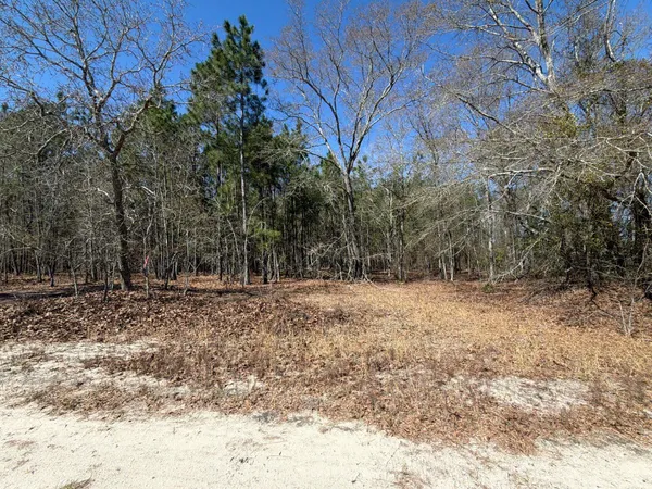 $69,900 | 12 Boise Cascade, Unit BHL 12, Bethune, SC 29009