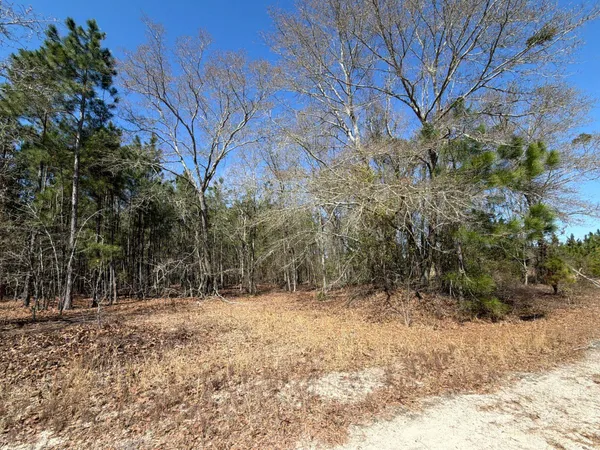 $69,900 | 12 Boise Cascade, Unit BHL 12, Bethune, SC 29009