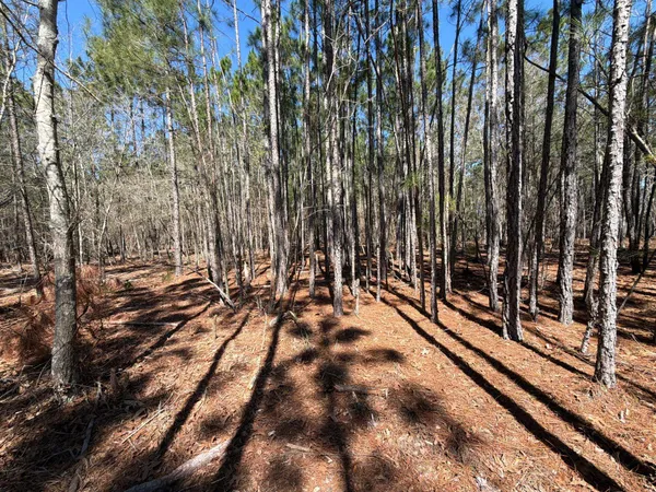 $69,900 | 12 Boise Cascade, Unit BHL 12, Bethune, SC 29009