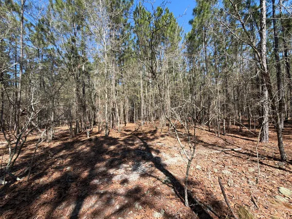 $69,900 | 12 Boise Cascade, Unit BHL 12, Bethune, SC 29009