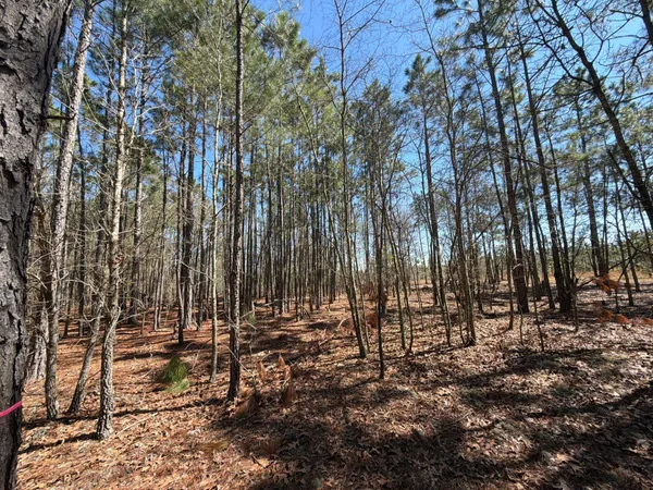 $69,900 | 12 Boise Cascade, Unit BHL 12, Bethune, SC 29009