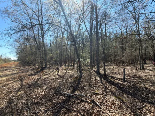 $69,900 | 12 Boise Cascade, Unit BHL 12, Bethune, SC 29009
