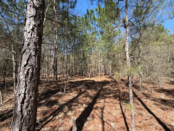 $69,900 | 12 Boise Cascade, Unit BHL 12, Bethune, SC 29009