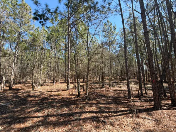 $69,900 | 12 Boise Cascade, Unit BHL 12, Bethune, SC 29009