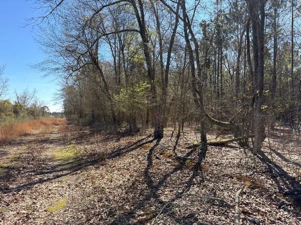 $69,900 | 12 Boise Cascade, Unit BHL 12, Bethune, SC 29009