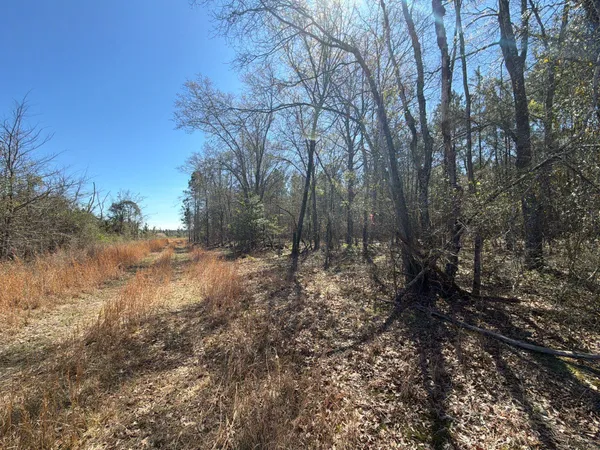 $69,900 | 12 Boise Cascade, Unit BHL 12, Bethune, SC 29009