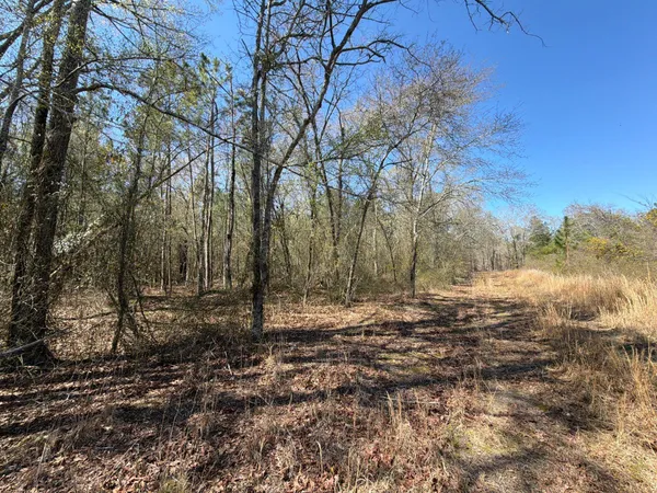 $69,900 | 12 Boise Cascade, Unit BHL 12, Bethune, SC 29009