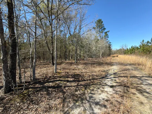 $69,900 | 12 Boise Cascade, Unit BHL 12, Bethune, SC 29009