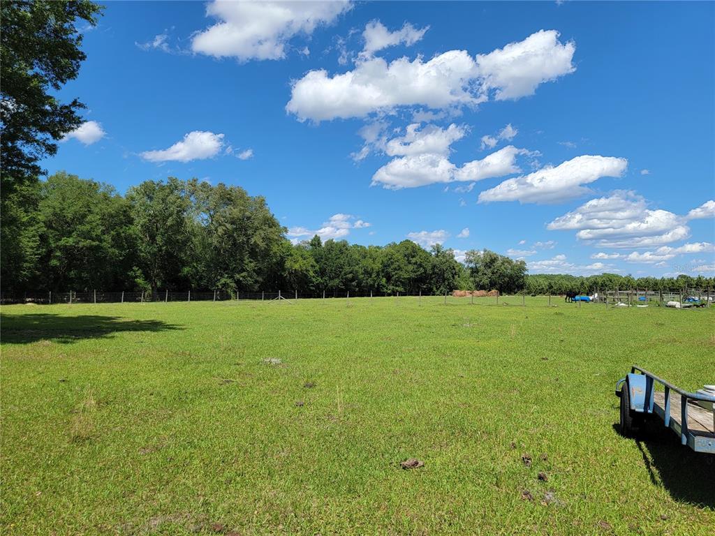 3046 Southwest Captain Bn Road Madison, FL 32340 - Photo 1 of 1 Gallery Image 1