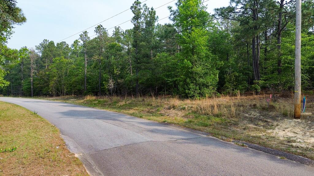 0 Mt Zion Road, Unit 3 Trenton, SC 29847 - Photo 2 of 26