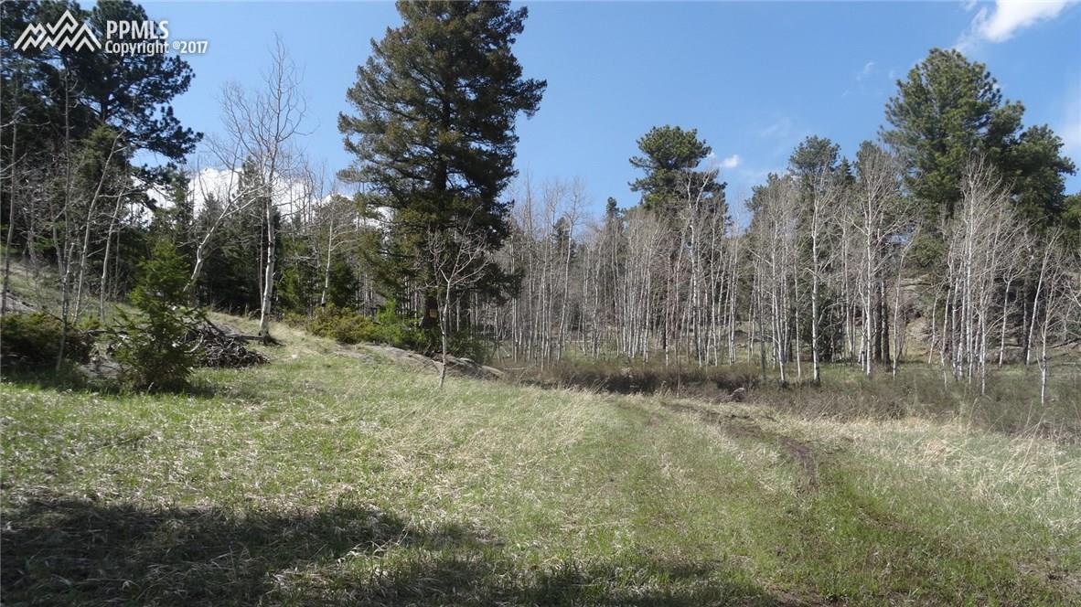 325 Valley Road Florissant, CO 80816 - Photo 1 of 17