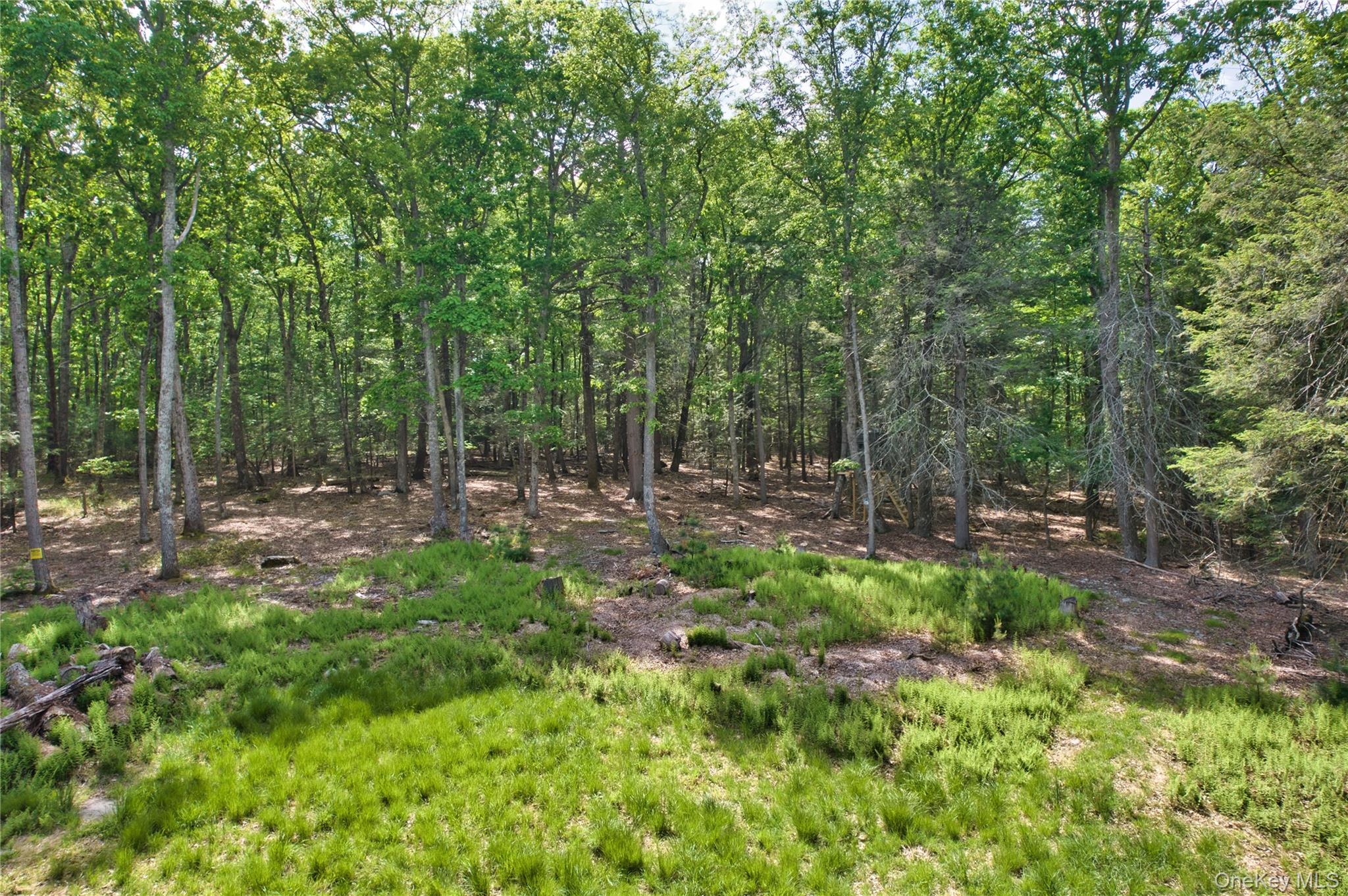 Jersey Road Wurtsboro, NY 12790 - Photo 1 of 7