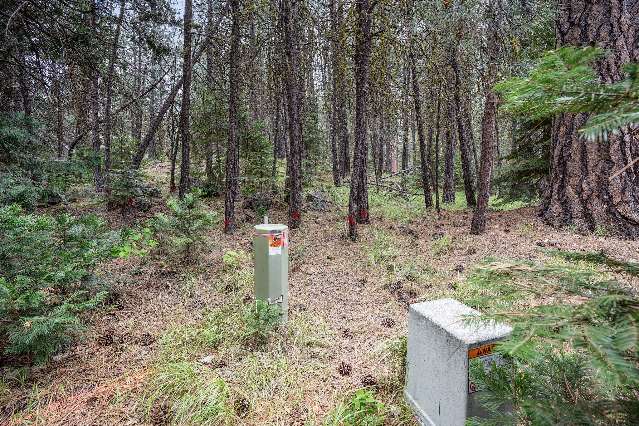 Undisclosed Address Black Butte Ranch, OR 97759 - Photo 2 of 24 a backyard of a house with lots of green space and trees