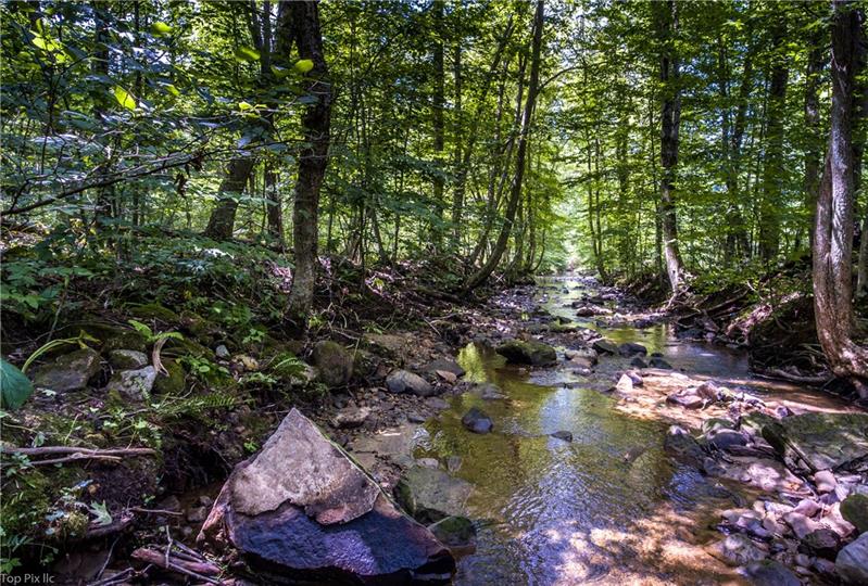 884 Potter Run Road Volant, PA 16156 - Photo 13 of 25 Gallery Image 13
