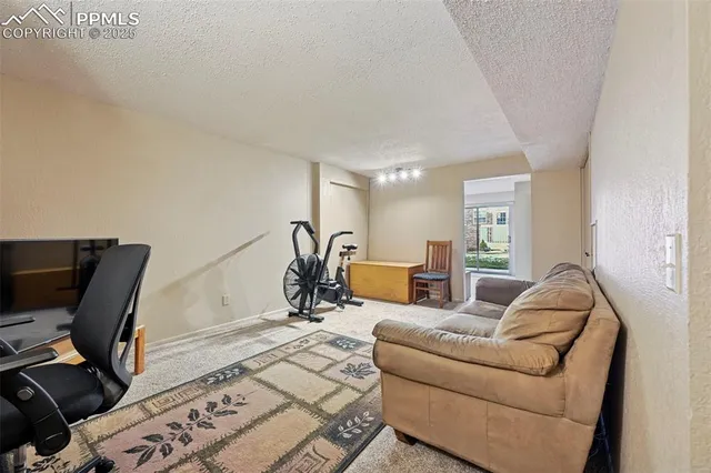 a living room with furniture a couch and a window