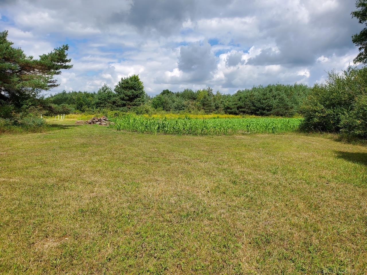 Vl Phipps Road Applegate, MI 48401 - Photo 7 of 11 Gallery Image 7