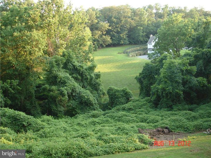696 Guernsey Road South Landenberg, PA 19350 - Photo 5 of 25 a view of a lush green forest with lots of trees