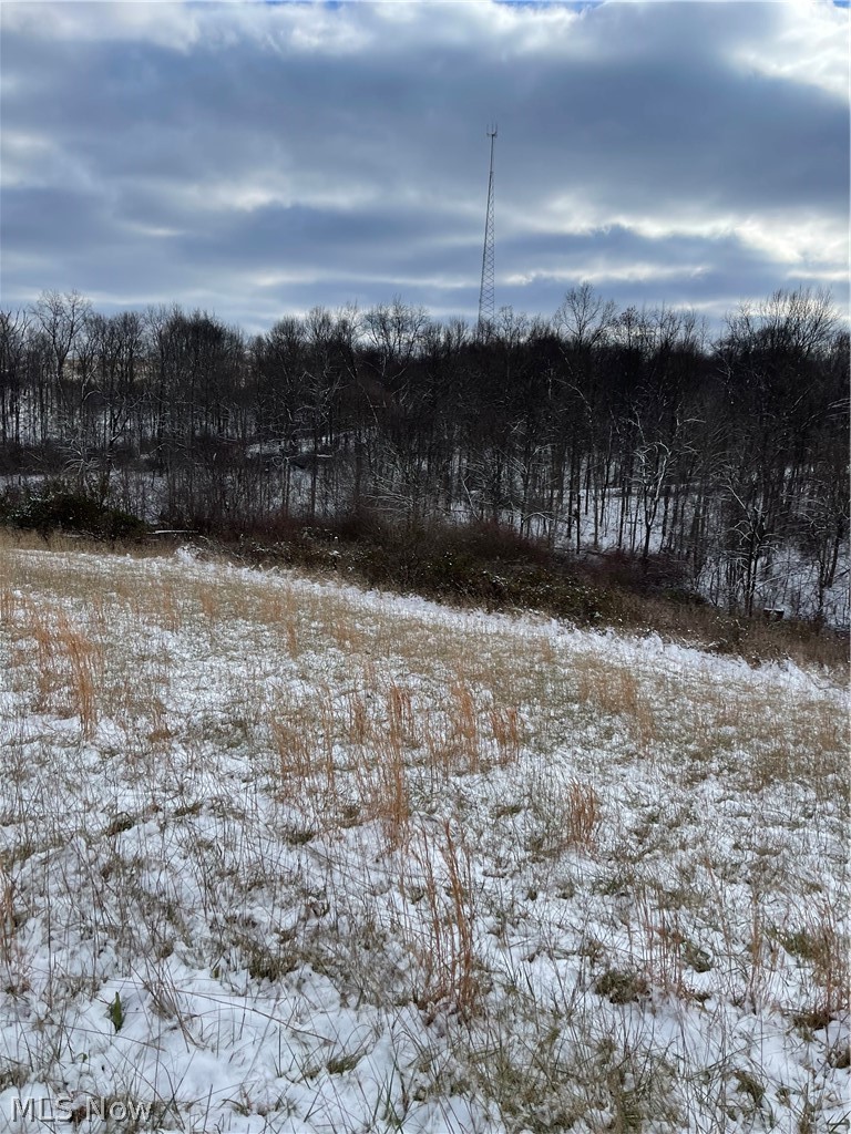 Sandy Lane Chesterhill, OH 43728 - Photo 10 of 15