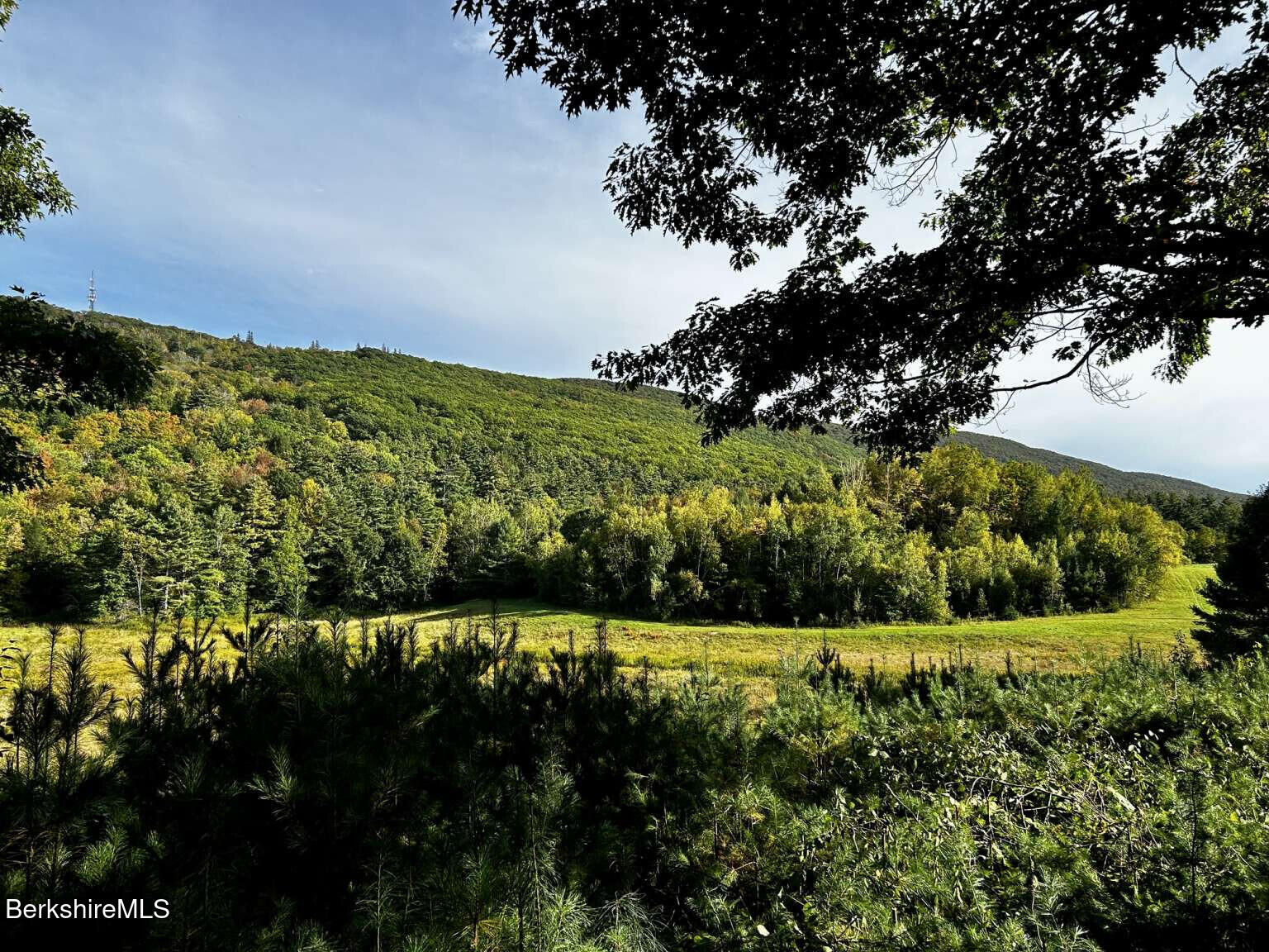 0 Daniels Road North Adams, MA 01247 - Photo 1 of 14 Belanger.1