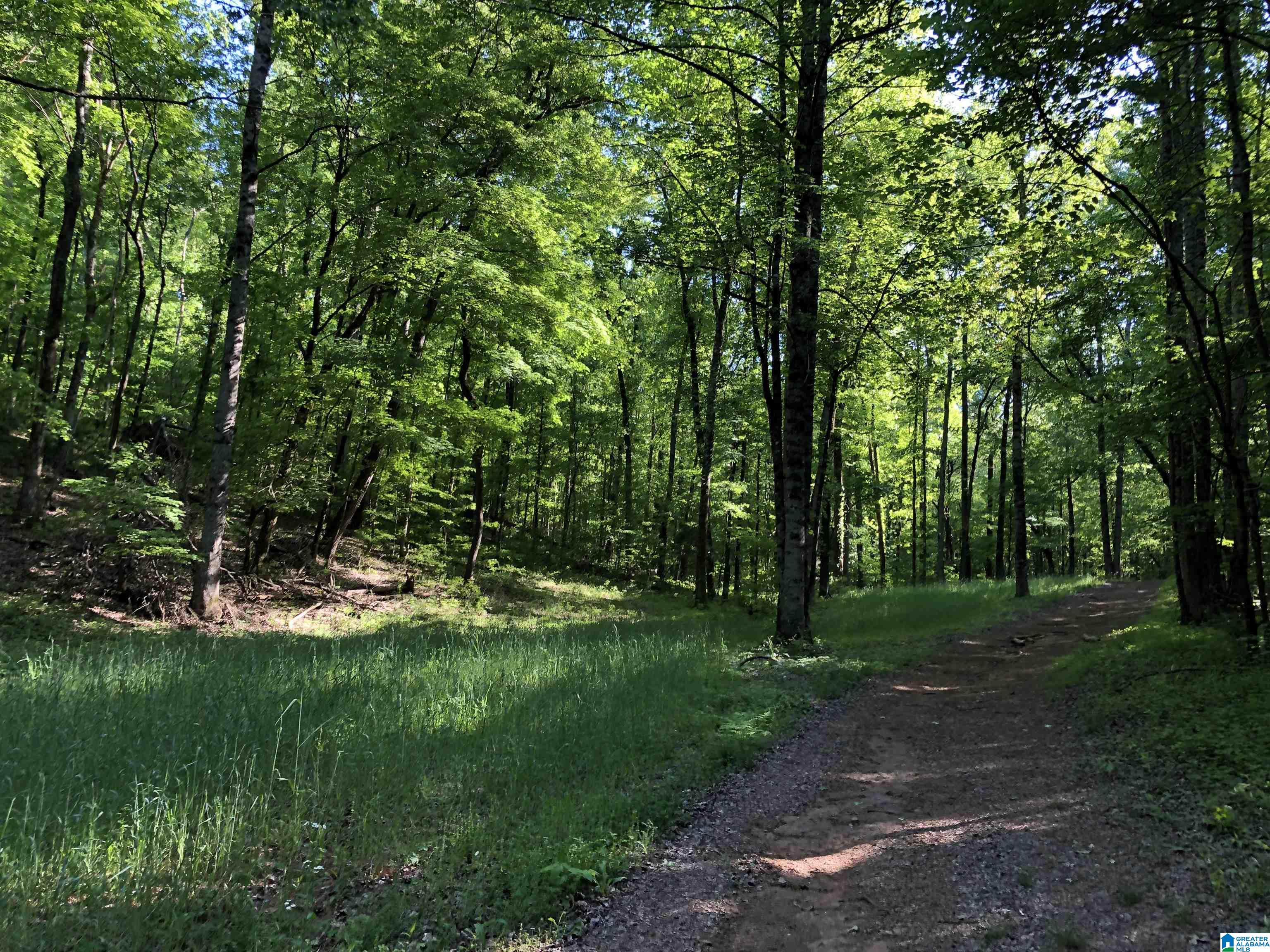 Copper Road Columbiana, AL 35051 - Photo 13 of 56 Gallery Image 13