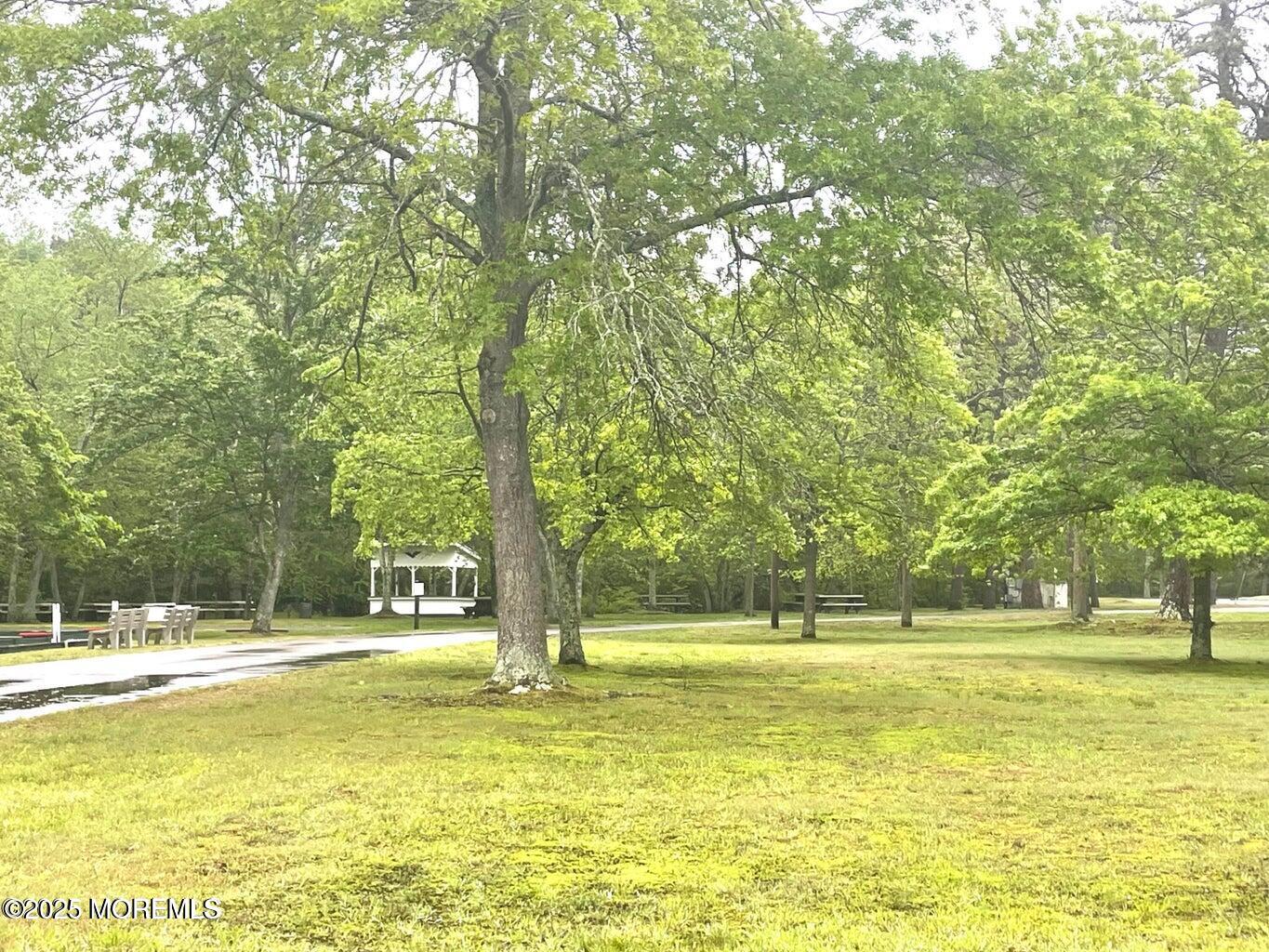 7 Walnut Street, Unit C Toms River, NJ 08757 - Photo 28 of 28 a view of outdoor space with swimming pool and trees