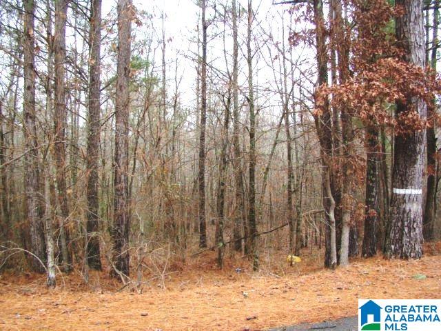 4494 Roy Webb Cutoff Road, Unit 1 Piedmont, AL 36272 - Photo 1 of 4