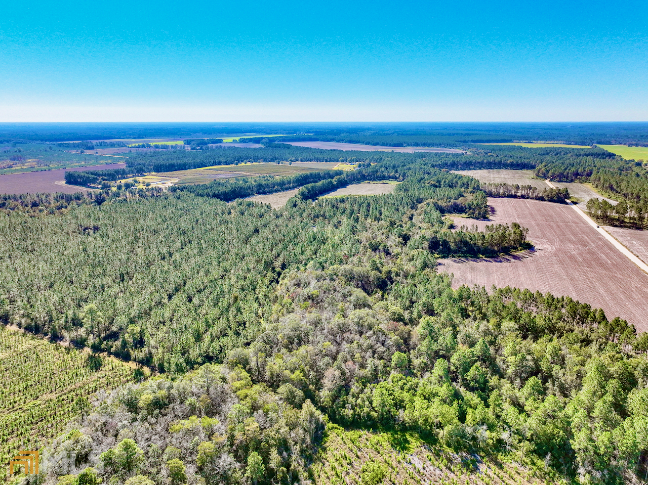 0 T M Mims Road Hazlehurst, GA 31539 - Photo 1 of 1 an aerial view of a houses with a yard