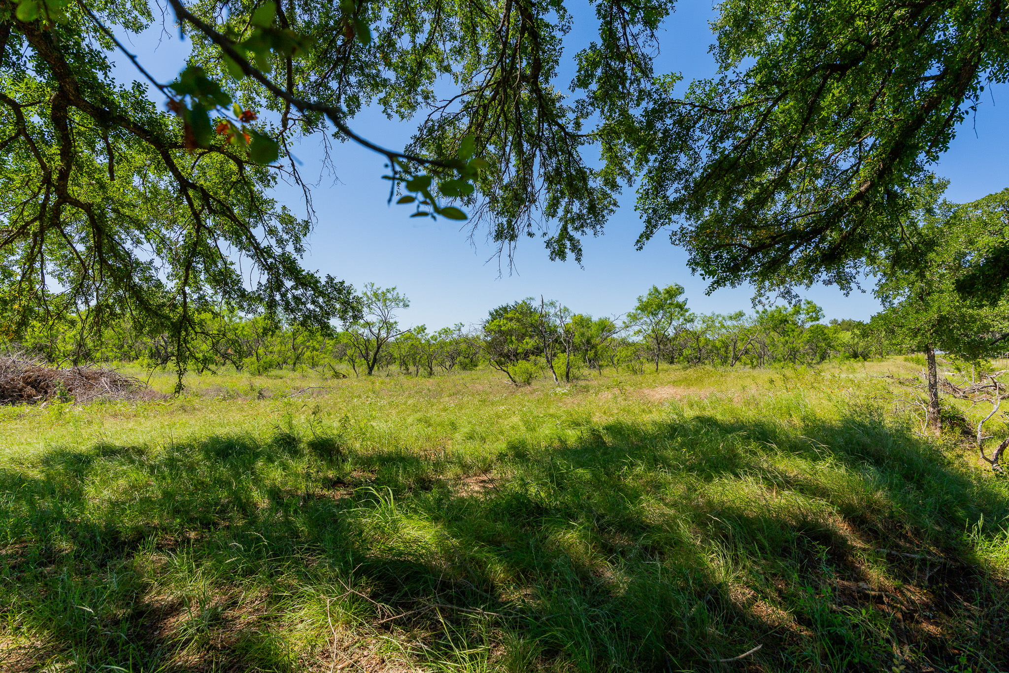 180 Rolling Pond Ranch Road Purmela, TX 76566 - Photo 10 of 21