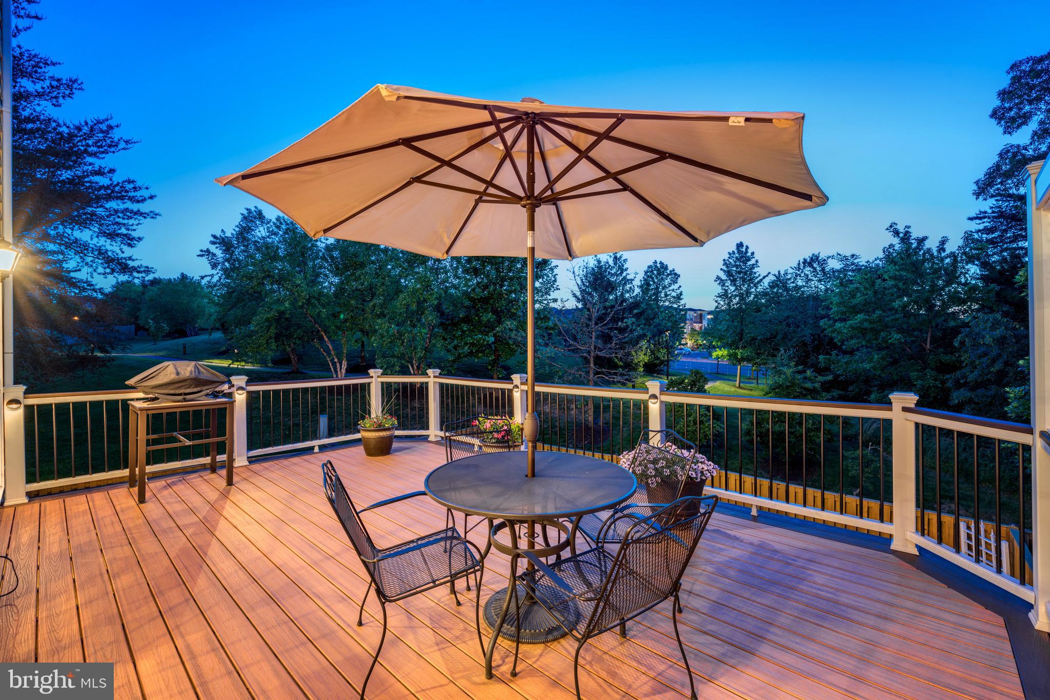 43640 Lees Mill Square Leesburg, VA 20176 - Photo 3 of 77 Enjoy entertaining on Expansive back deck!