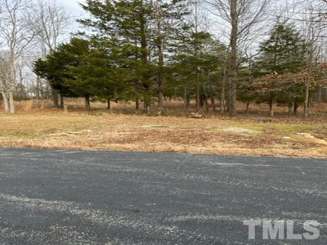 Lot 5 Brothers Drive Roxboro, NC 27574 - Photo 3 of 5 a view of a yard with a trees