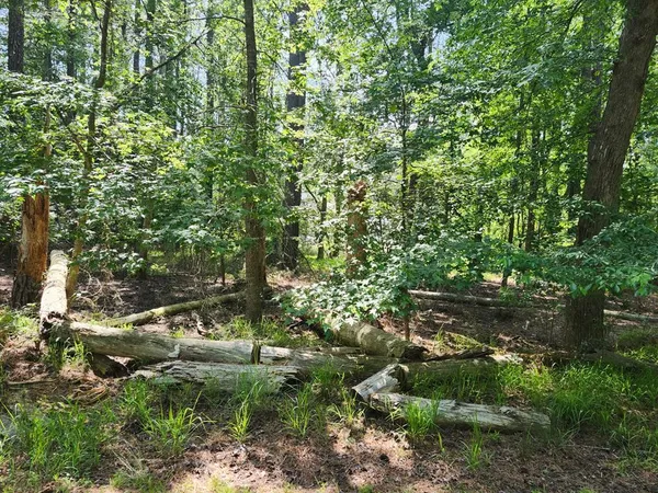 $8,000 | Lot 1061 Broadside Drive, Unit 1061, Greenbackville, VA 23356