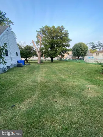 a view of a field of grass and trees