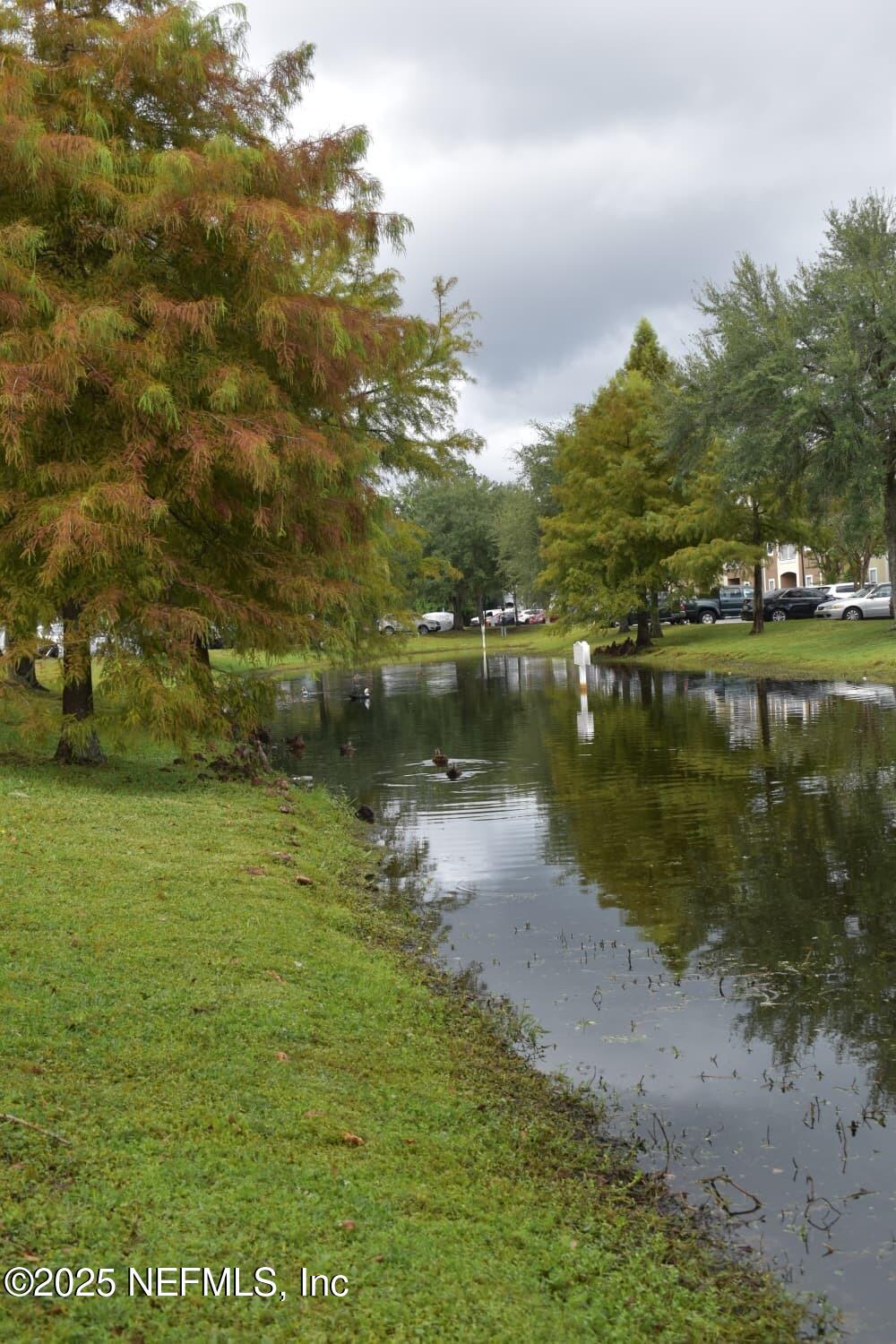 7920 Merrill Road, Unit 1710 Jacksonville, FL 32277 - Photo 42 of 51 a view of lake