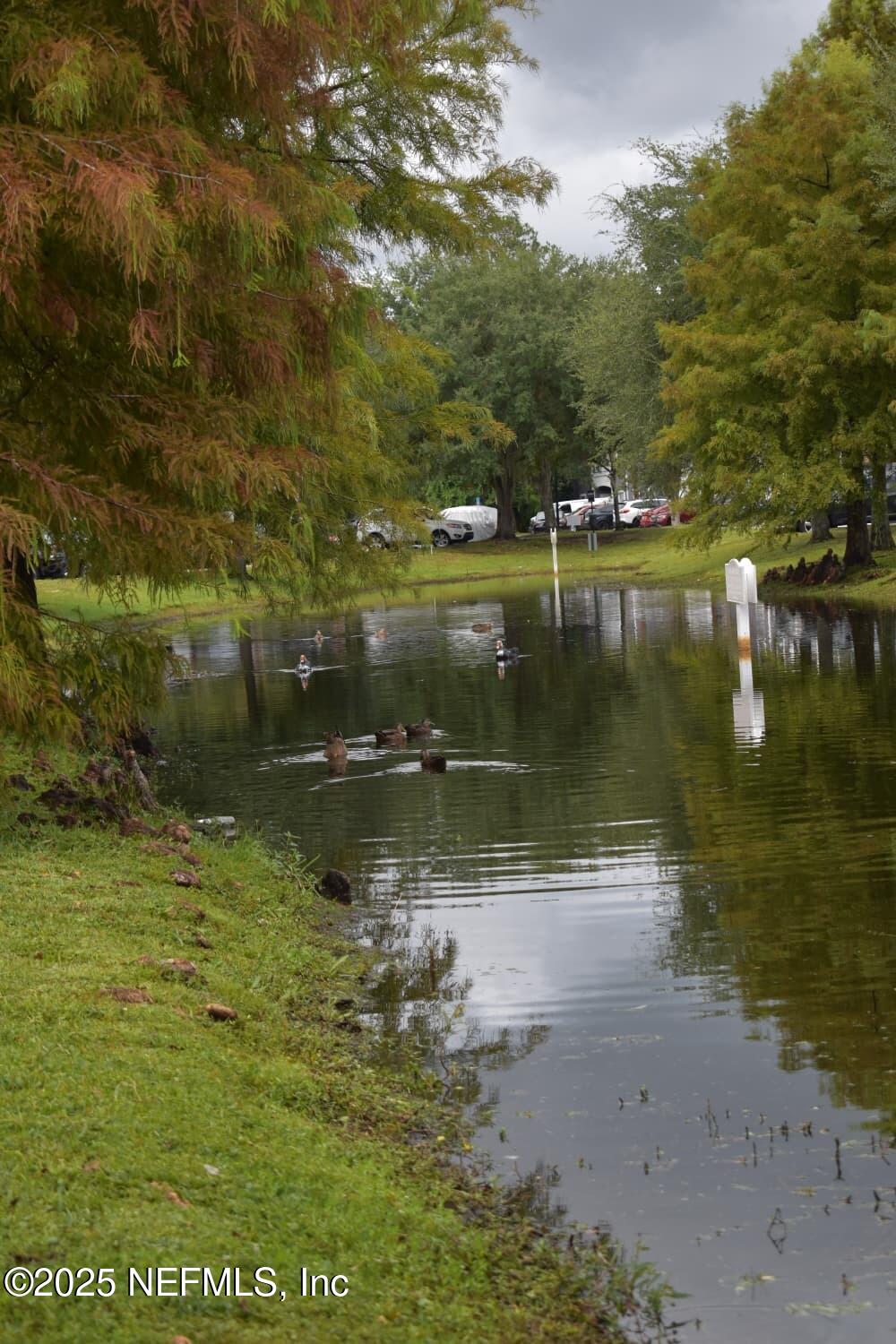 7920 Merrill Road, Unit 1710 Jacksonville, FL 32277 - Photo 43 of 51