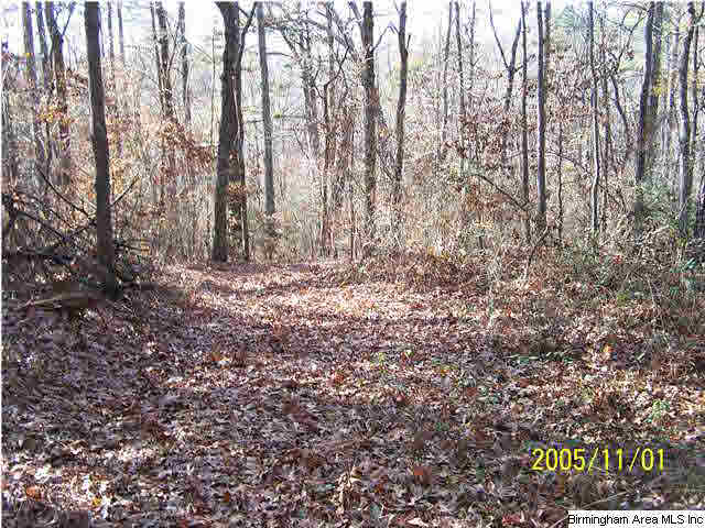 281 Timmerman Road Blountsville, AL 35031 - Photo 8 of 9