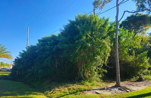 a view of an outdoor space