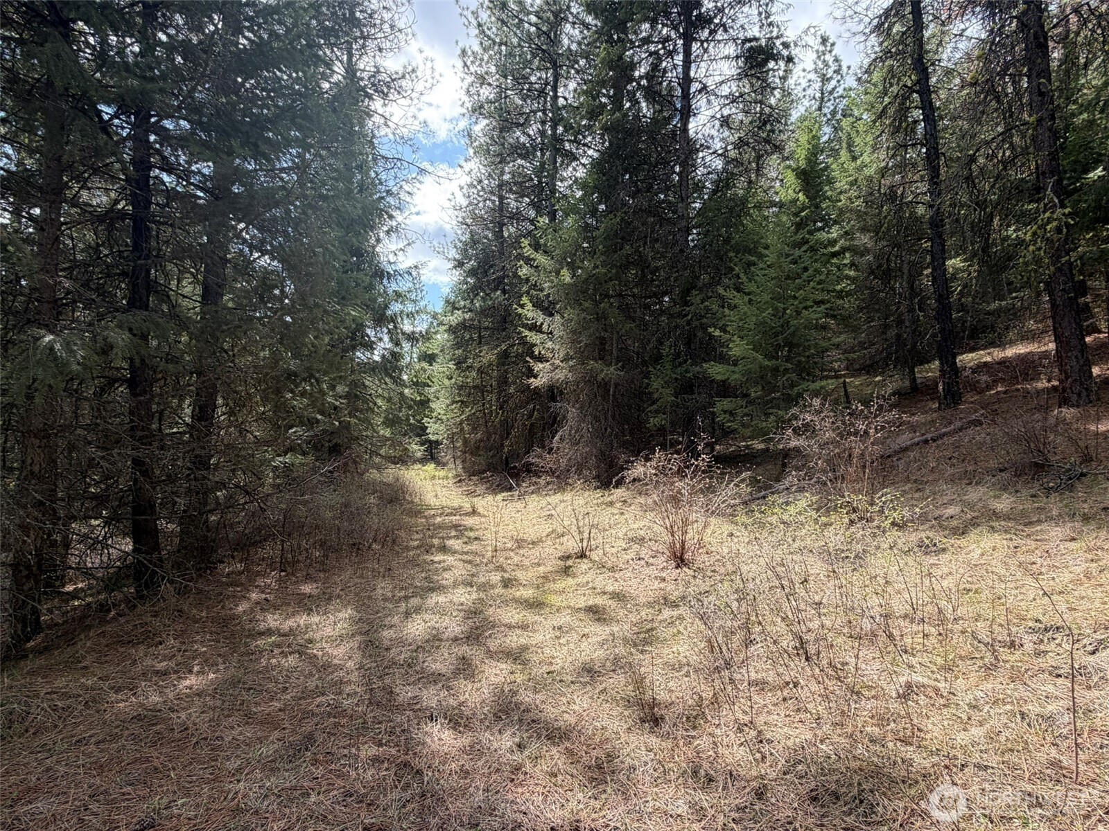 111-tbd W West Curlew Lake Road Republic, WA 99166 - Photo 11 of 16