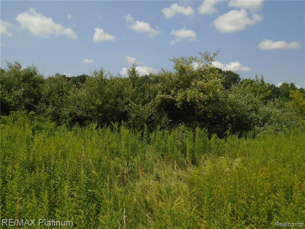 V/l Davisburg Road Holly, MI 48442 - Photo 8 of 9 Gallery Image 8